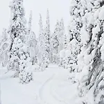 Villa Martta, Yllaes, Lapland Hideaway Near Trails