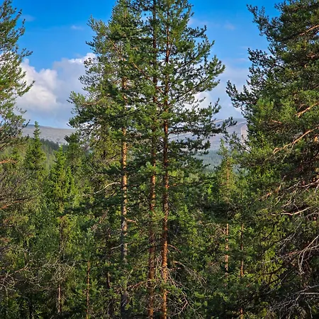 Martta, Yllaes, Lapland Hideaway Near Trails *