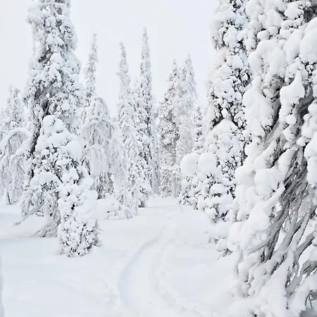 Villa Martta, Yllaes, Lapland Hideaway Near Trails