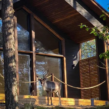 Martta, Yllaes, Lapland Hideaway Near Trails Villa