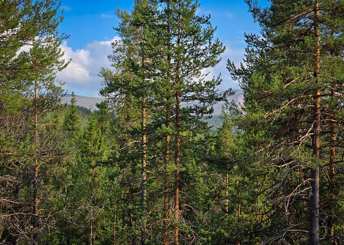 Martta, Yllaes, Lapland Hideaway Near Trails *