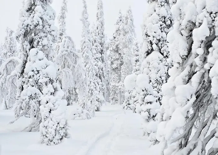 빌라 Martta, Yllaes, Lapland Hideaway Near Trails